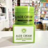 Крем для лица GIINSU Aloe Cream (106)