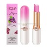 Бальзам для губ OMGA Grapes Lipstick 3g