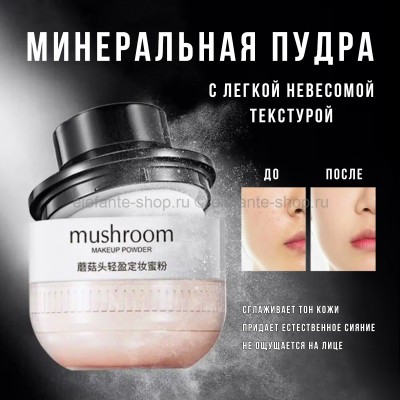 Минеральная пудра ZOZU Mushroom Makeup Powder Natural 15g
