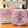 Пудра для лица Яра тон 01