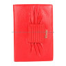 Обложка паспорта ER2203E Red