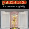 Ночник Роза в колбе с подсветкой S-176 (BJ)