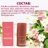 Многофункциональный стик-румяна SPARCLI Universal Blush and Lips Stick 7.1g