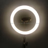 Светодиодная кольцевая лампа Ring Fill Light + ШТАТИВ, 2 В 1, 28779