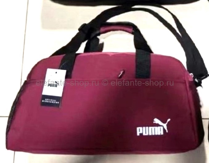 Сумка спортивная 80463