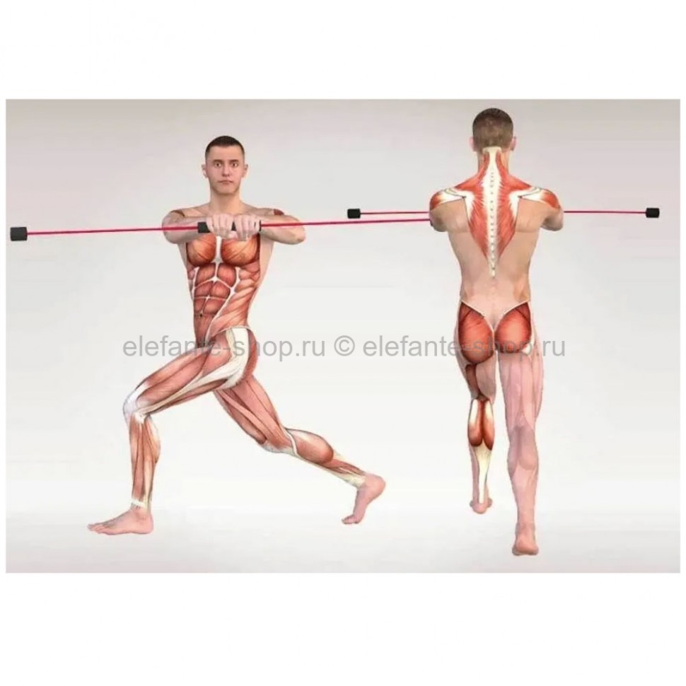 Я использую мускулы для доминирования. Тренажер вибрационный для тела Flexi Bar. Упражнения с флекси баром. Flexi Bar Workout. Ходьба мышцы.