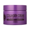 Крем для лица GIINSU Collagen Cream (106)
