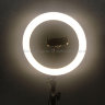 Светодиодная кольцевая лампа Ring Fill Light 30 см + ШТАТИВ