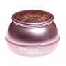 Восстанавливающий крем на основе улиточного секрета Bergamo Pure Snail Wrinkle Care Cream 50 мл (51)