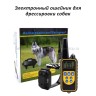 Электронный ошейник для дрессировки собак Rechargeable and Waterproof IN-165 (TV)