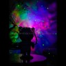 Ночник-проектор звёздного неба Astronaut Projector Light (15)
