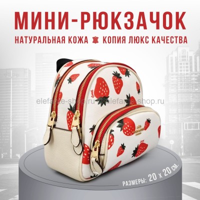 Мини-рюкзак CCH 48231