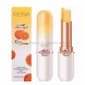 Бальзам для губ OMGA Orange Lipstick 3g